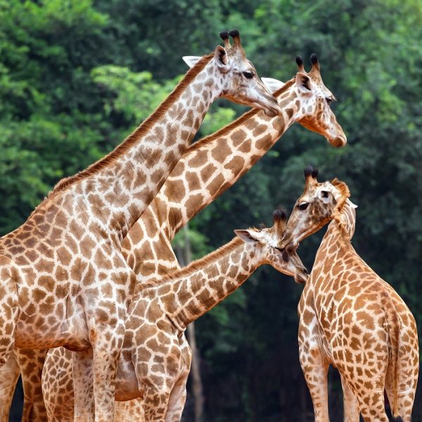 曼谷旅游攻略：适合与朋友一起做的曼谷必做6件事