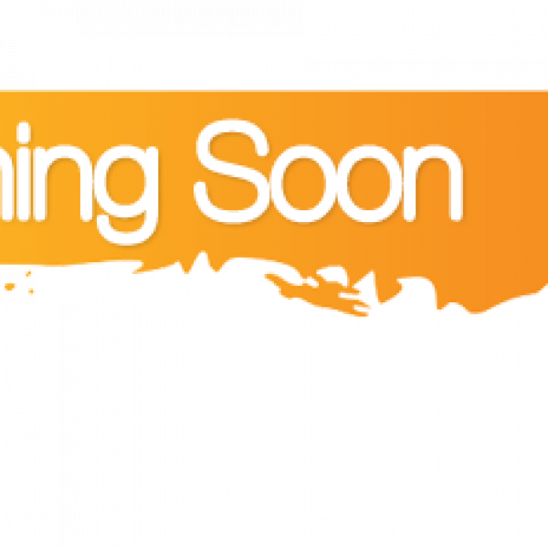 Terminal21新鲜资讯 Coming Soon…