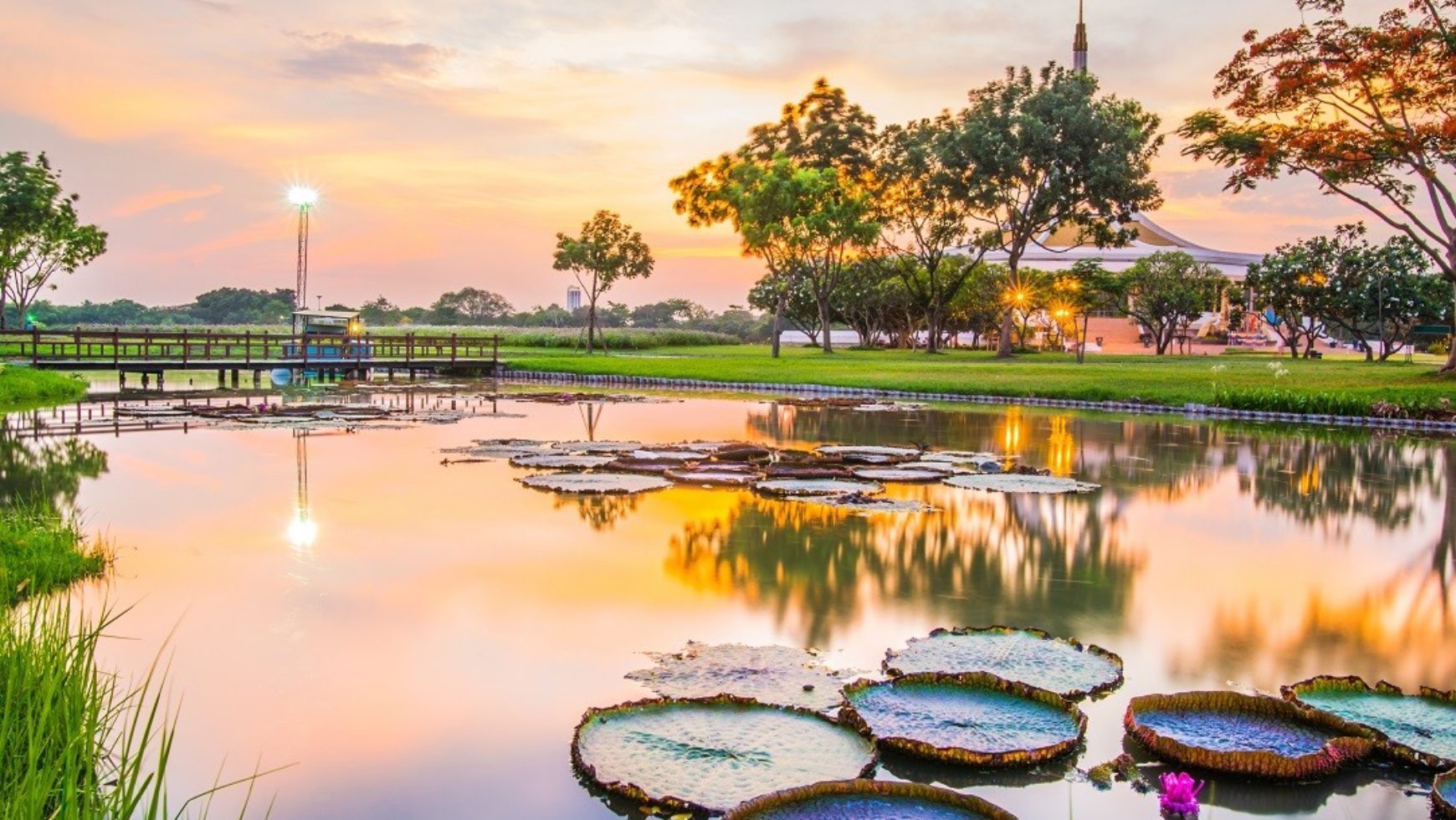曼谷景点 | 消暑好去处!想逃离市区喧嚣,就来这些曼谷公园吧
