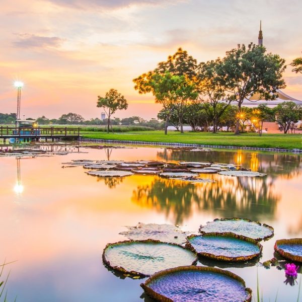 曼谷景点 | 消暑好去处！想逃离市区喧嚣，就来这些曼谷公园吧