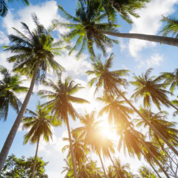 泰国自由行攻略丨泰国气候你一定要了解